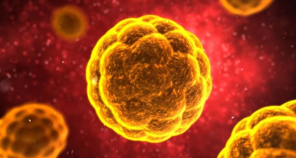 علماء: أشعة الشمس والحرارة والرطوبة تقتل فيروس كورونا خلال دقائق