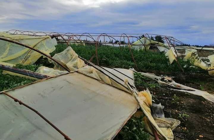 قرية المنطار بطرطوس تتعرض لتنين بحري يتسبب بأضرار بالبيوت البلاستيكية