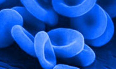“الدم الأزرق” لعلاج كورونا