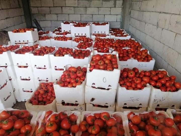 طرطوس تستمر بتسويق منتجاتها الزراعية الى المحافظات السورية