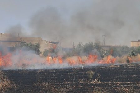 النيران المفتعلة تواصل التهام قمح السوريين في الحسكة