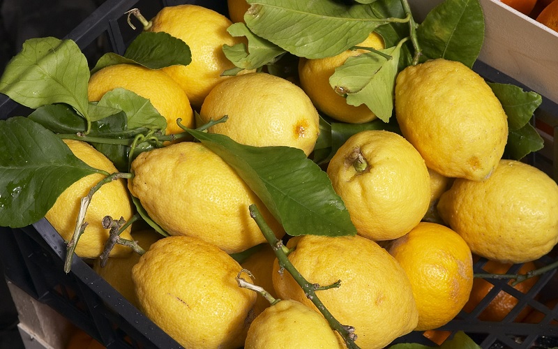 اللاذقية: أسعار الليمون والثوم تتجاوز 10 أضعاف الأسعار خلال السنوات الثلاث الماضية
