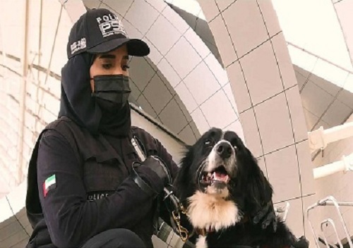 الكلاب البوليسية تساعد فى مكافحة كورونا في الإمارات العربية