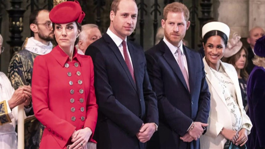 الأمير هاري وميغان "لم يسهما" في كتاب جديد عن عن حياتهما داخل العائلة المالكة