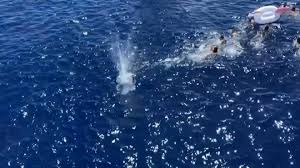 لعبة الحوت الأزرق تتسبب بمقتل 3 شبان إيرانيين غرقاً
