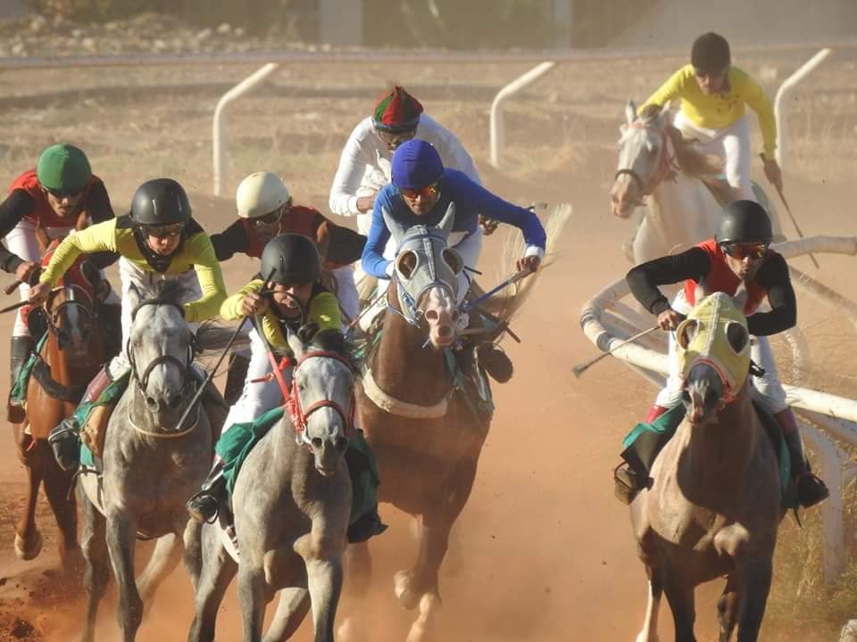 منافسات قوية في السباق الدوري الرابع للخيول العربية الأصيلة