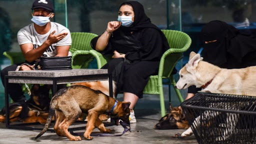 افتتاح أول مقهى لعشاق الكلاب في السعودية