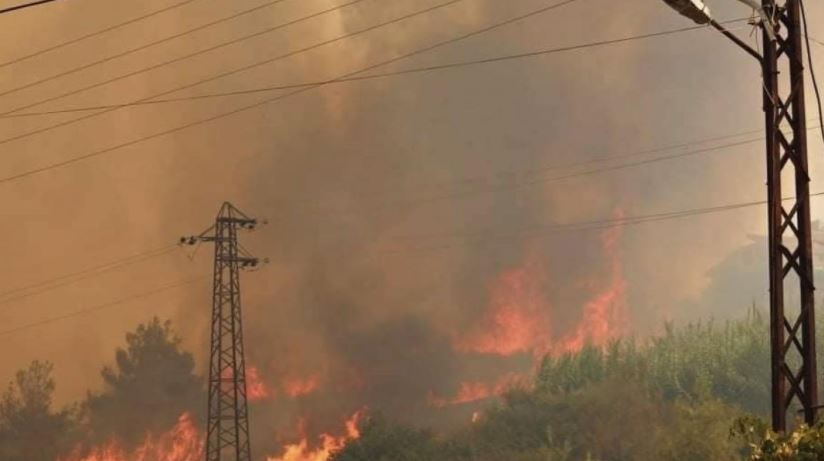 مدير كهرباء اللاذقية: التيار الكهربائي عاد بنسبة 93 بالمئة للمناطق المتضررة من الحرائق