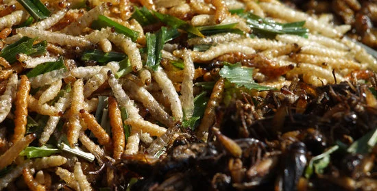 أول موافقة من هيئة أوروبية على اعتماد حشرات كغذاء للبشر