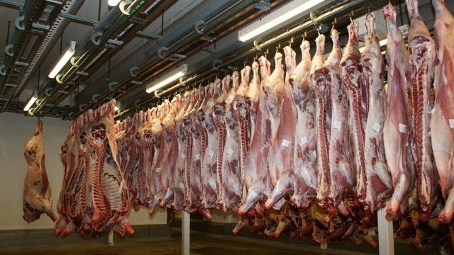 تراجع مبيعات اللحوم في دمشق إلى النصف والقصابون يغلقون محلاتهم