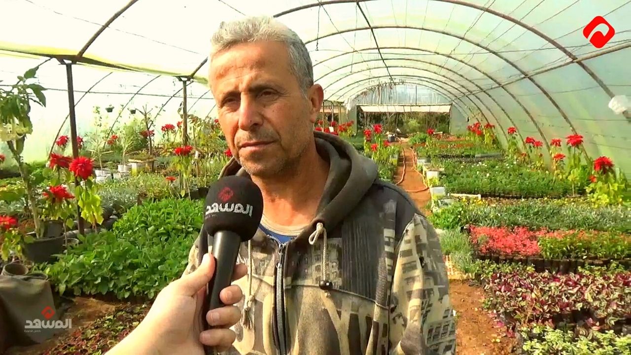 بعد نجاحه في زراعة المتة .. مزارع يُنتج ثمار القهوة والشوكولا الطبيعية في الساحل السوري (فيديو)