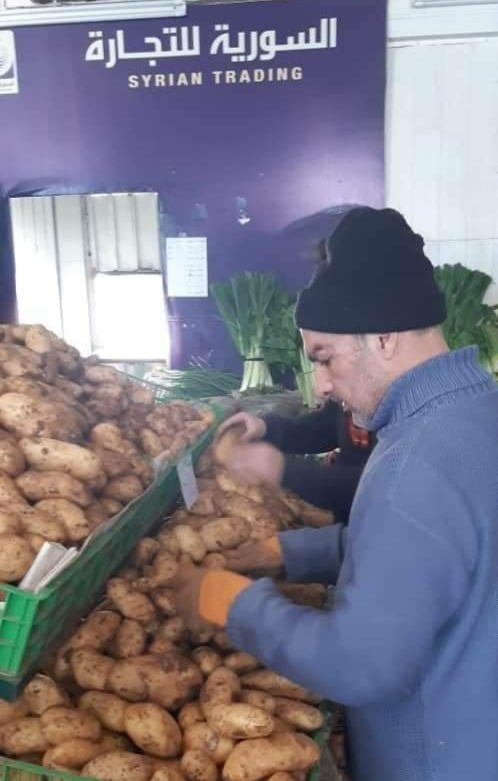مدير عام السورية للتجارة لـ«المشهد» : كميات البطاطا في صالات السورية تكفي لأشهر .