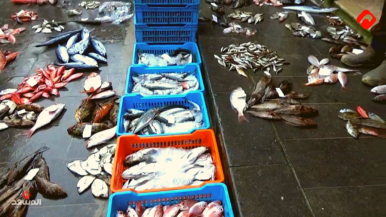 "المشهد" تزور مزاد السمك في بانياس لرصد الحركة الشرائية ونقل هموم الصيادين (فيديو)