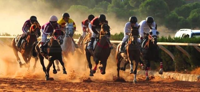 تسعة سباقات للسرعة على روزنامة الجمعية السورية للخيول العربية الأصيلة