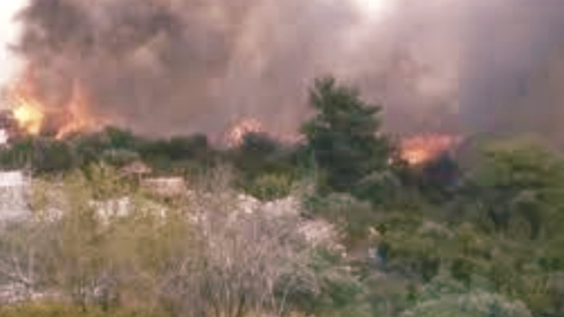 حريق زراعي يأتي على 12 دونم زيتون في "دبّا" بريف الحفة