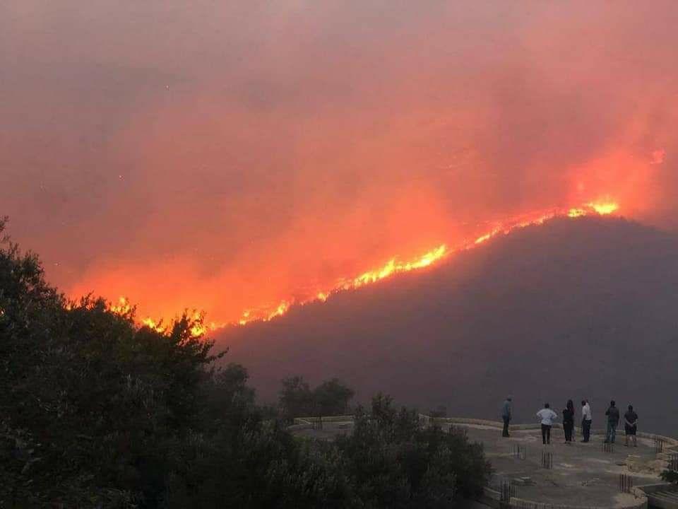 أسبوع “ناري” في اللاذقية .. إخماد 43 حريقاً وإصابة رئيس فرقة إطفاء