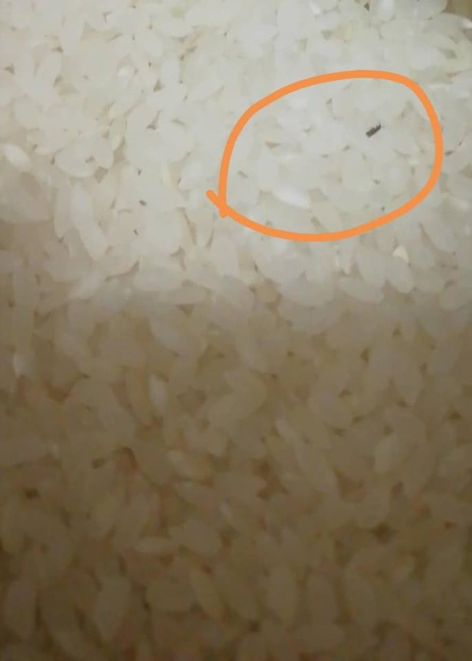 لارقيب ولاحسيب .. السورية للتجارة  توزع  "ارز بالحشرات"   على المواطنين