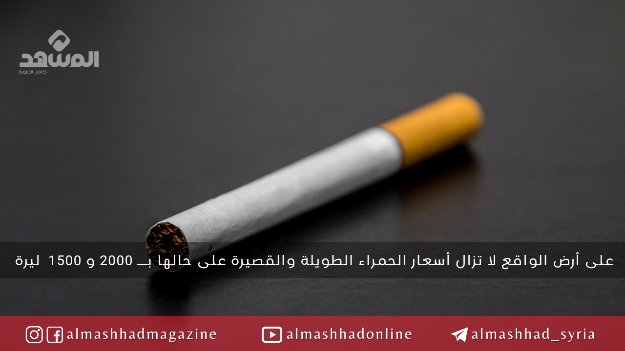 أسعار الدخان الوطني على حالها.. نشرة "التجارة الداخلية" منشور للتداول!!
