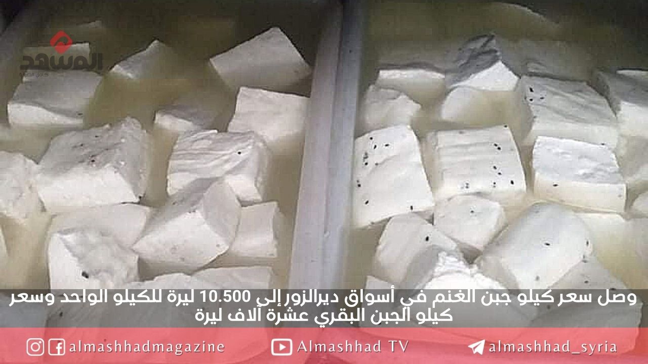 سعر كيلو الجبن يتخطى حاجز العشرة آلاف ليرة
