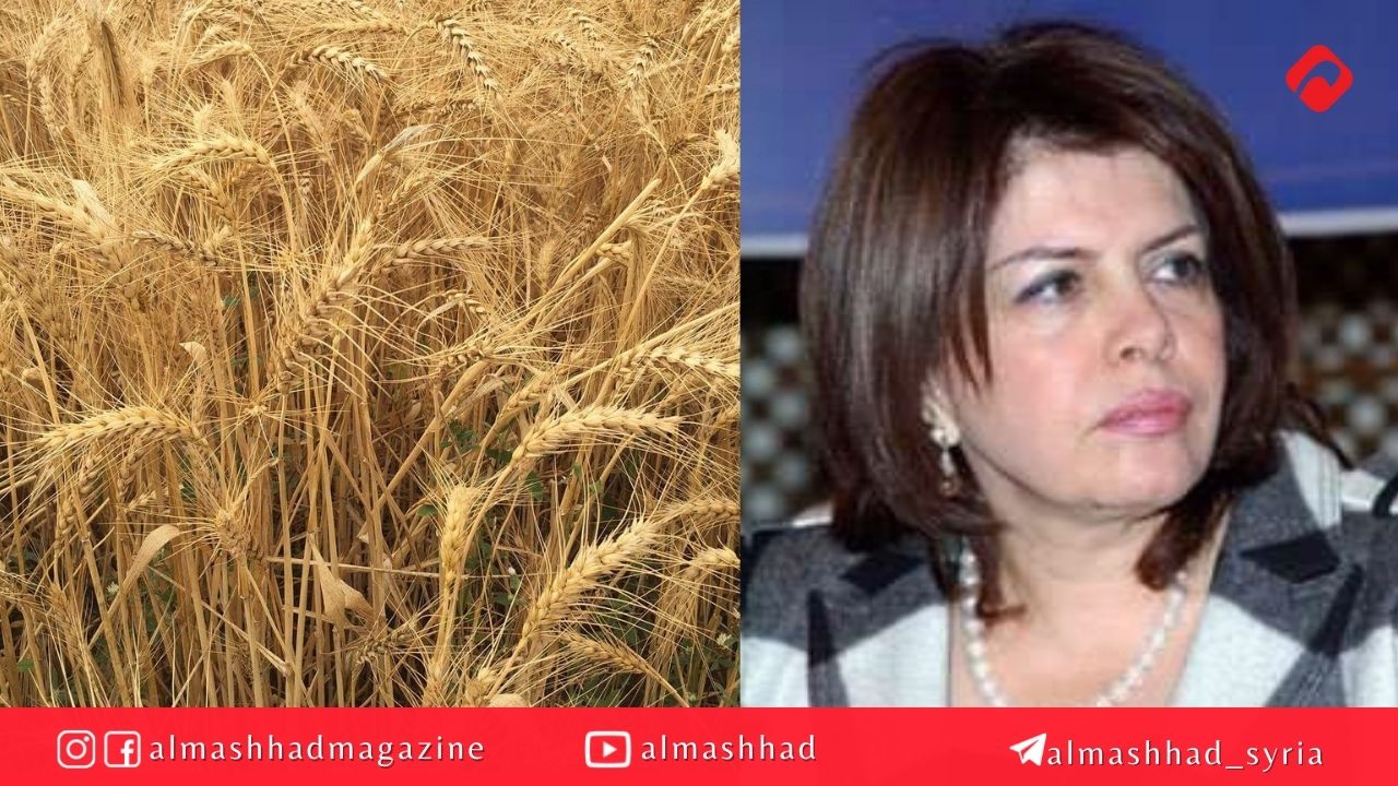 وزيرة سابقة تدعو لشراء القمح من الفلاحين وفقاً للاسعار العالمية