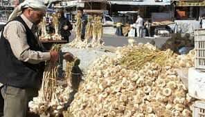 تصدير ٣٨٠ طن ثوم… وتوجه لوضع أسواق الهال تحت إشراف حكومي