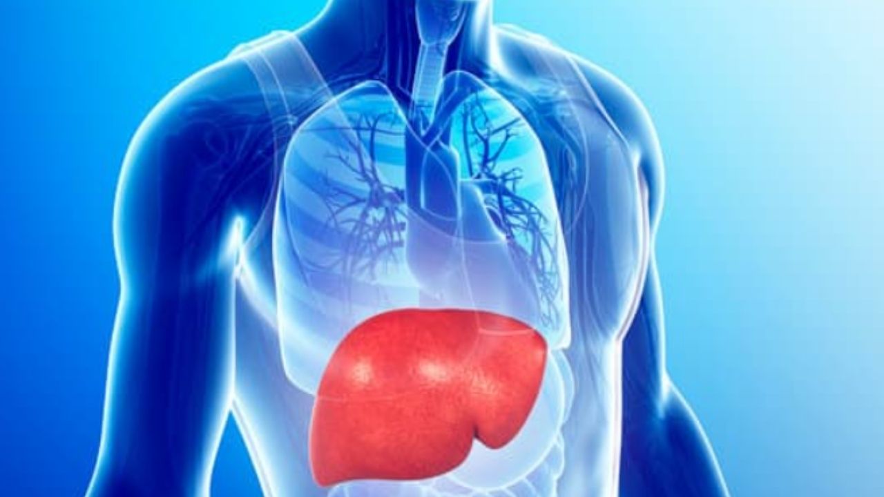 مرض الكبد الدهني قابل للشفاء إذا غيّر المصاب عاداته وتحول إلى نمط حياة صحي