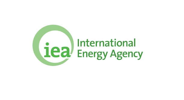 وكالة الطاقة الدولية تدعو إلى خفض استهلاك النفط في ظل مخاوف بشأن الإمدادات