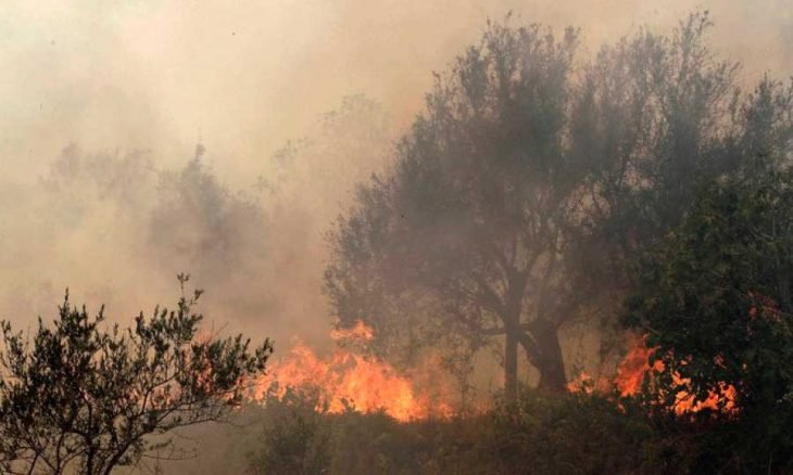 منصة الغابات ومراقبة الحرائق تحذر من مستويات خطورة مرتفعة للحرائق يوم الغد