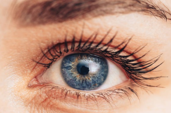 شبكية العين قد تكشف خطر الإصابة بمرض الباركنسون!