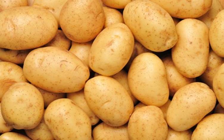 السورية للتجارة بحماة تطرح كميات من البطاطا بسعر مخفض عن السوق المحلية