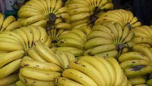 رئيس لجنة سوق الهال : ارتفاع سعر الموز بسبب منع استيراده من الدول المجاورة
