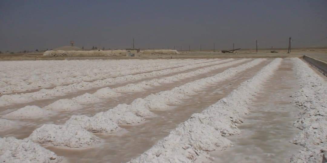 الاحتياطي 350 مليون طن.. الملح في سورية ثروة غير قابلة للنفاد وإيراد مالي جيد للخزينة العامة