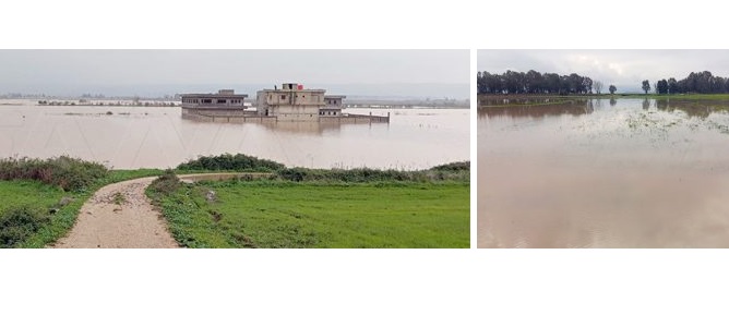 أضرار كبيرة في الأراضي الزراعية بتلكلخ جراء الهطولات المطرية الغزيرة