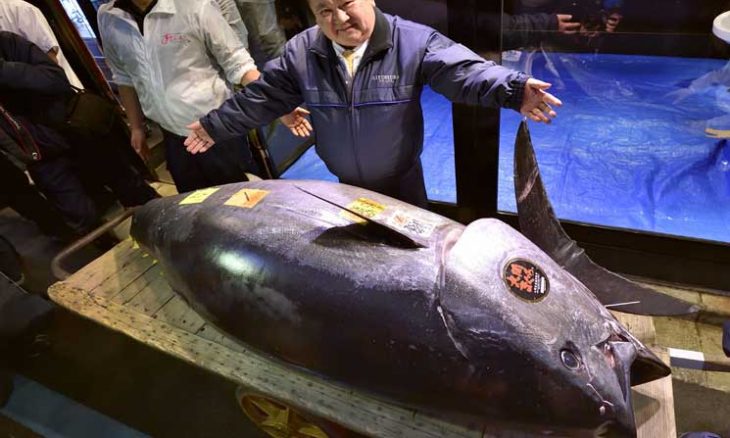 بيع سمكة تونة ضخمة مقابل 3,1 مليون دولار في اليابان