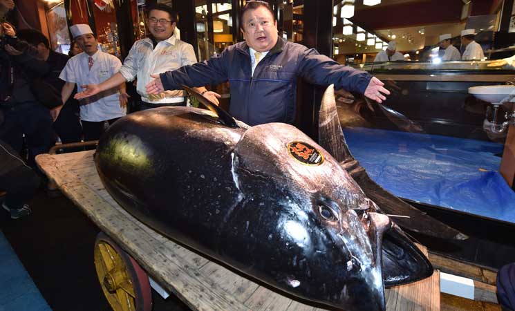 بيع سمكة تونة ضخمة مقابل 3,1 مليون دولار في اليابان