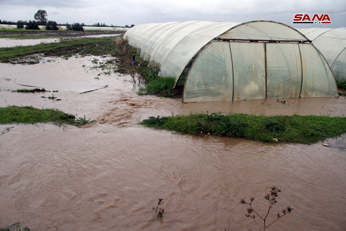 الأمطار الغزيرة تغمر مئات الدونمات من الأراضي الزراعية في سهل عكار