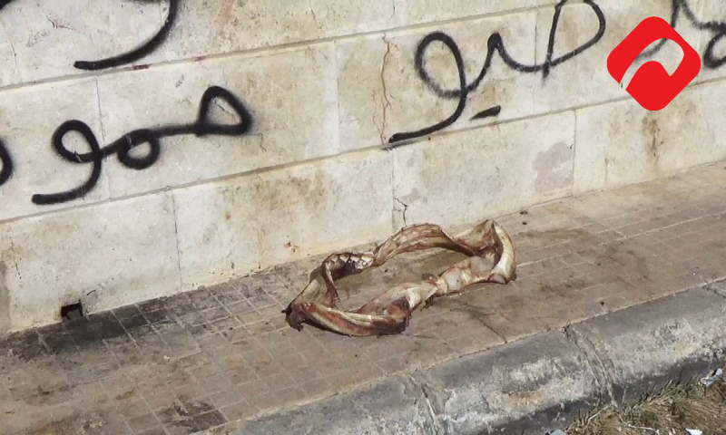 ما هو مصدر الأسماك التي يأكلها السوريون؟ وما الذي يحدث في المركز الرئيسي لبيع الأسماك في اللاذقية؟