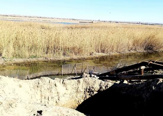 زراعة ديرالزور ترفع حالة التأهب ومخاوف من تضرر محصول القمح بسبب انخفاض منسوب نهر الفرات