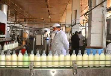 مدير عام شركة ألبان حمص  يتحدث عن صعوبات العمل: "صعوبة توفير الحليب الخام وارتفاع الأعلاف ونقص كبير بالخبرات الفنيّة"