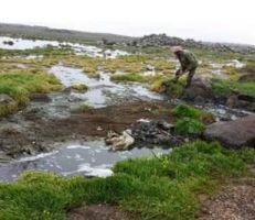مياه الصرف الصحي تغزو حقول المزارعين في السويداء