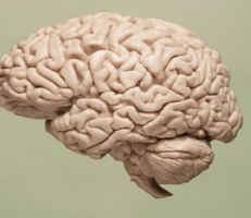إنجاز رائد في علاج شيخوخة الدماغ