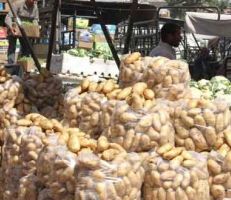 "السورية للتجارة" سلفة مالية لتسويق البطاطا