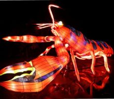 مصابيح عملاقة على شكل حيوانات بحرية في باريس (صور)