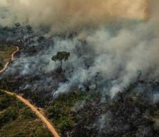الرئيس البرازيلي يقول إن التبرعات التي يقدمها الممثل دي كابريو ذهبت للمسؤولين عن إشعال حرائق الأمازون
