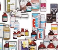 الحكومة تتجه لتصدير الأدوية البيطرية إلى دول إفريقية
