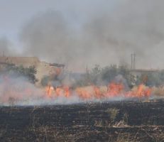 النيران المفتعلة تواصل التهام قمح السوريين في الحسكة