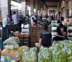 عضو لجنة تجار ومصدري سوق الهال: ارتفاع أسعار الخضر 30 بالمئة في العيد