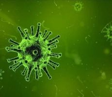 دراسة تكشف عن المدخل الرئيسي لفيروس كورونا إلى الجسم