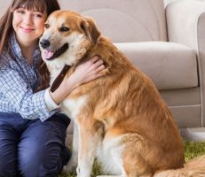 دراسة: الكلاب لا تميز بين وجوه البشر