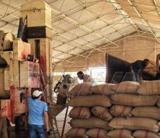مدير السورية للحبوب بدير الزور: إنتاجنا 80 طن وحاجة المحافظة 160 طناً من الدقيق يومياً
